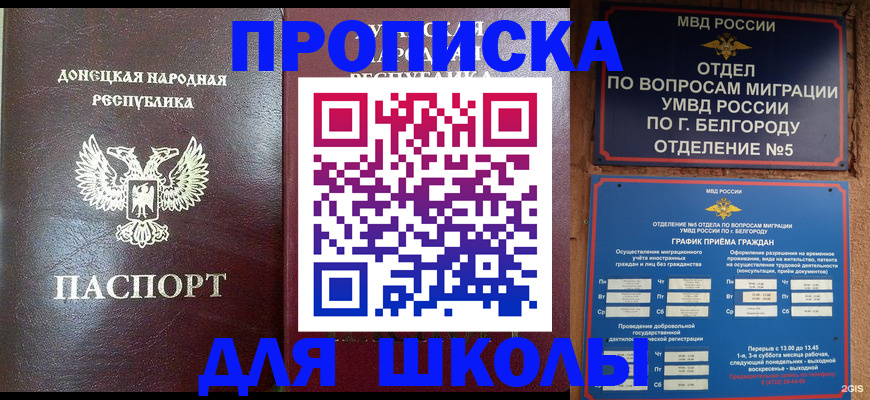 прописка для работы в Барыше